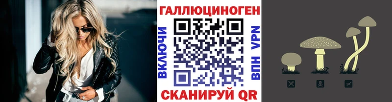Псилоцибиновые грибы Psilocybine cubensis Югорск